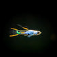 El Dorado Endler pairs