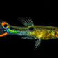 El Dorado Endler pairs