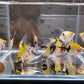 Koi Angelfish Size Small
