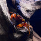 Mandarin Crab
