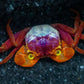 Mandarin Crab