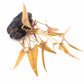 Dwarf Aquarium Lily Nymphaea stellata Potted Bulb Live Aquarium Plants