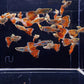 Blue Variegated Guppy Males