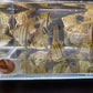 Zebra Angelfish
